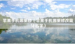 苹果手机哪里修（苹果手机哪里修改蓝牙名字）
