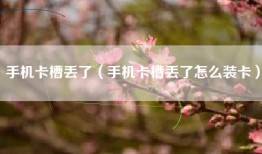 手机卡槽丢了（手机卡槽丢了怎么装卡）