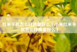 红米手机怎么样质量好么（小米红米手机怎么样质量好么）