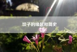 饺子的缘起和简史