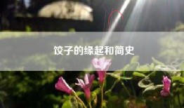 饺子的缘起和简史