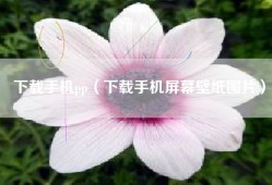 下载手机pp（下载手机屏幕壁纸图片）