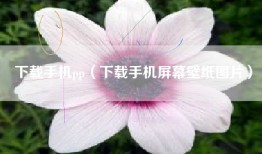 下载手机pp（下载手机屏幕壁纸图片）