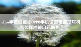 oPpo手机设置（OPPO手机设置带蓝牙耳机怎么样才能自己听见）