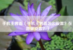 手机主界面（手机主界面怎么设置？在哪里设置？）