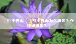 手机主界面（手机主界面怎么设置？在哪里设置？）
