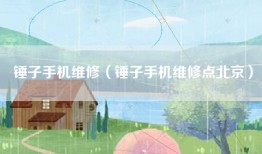 锤子手机维修（锤子手机维修点北京）