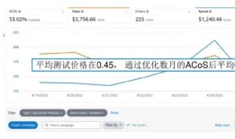 新品时期，亚马逊卖家如何制定高、低客单价产品推广策略？