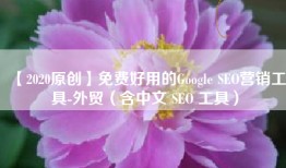 【2020原创】免费好用的Google SEO营销工具-外贸（含中文 SEO 工具）