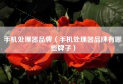 手机处理器品牌（手机处理器品牌有哪些牌子）