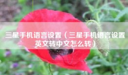 三星手机语言设置(三星手机语言设置英文转中文怎么转)