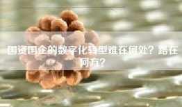 国资国企的数字化转型难在何处？路在何方？