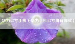华为4.7寸手机（华为手机4.7寸屏有哪款）