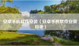 安卓手机软件安装（安卓手机软件安装目录）