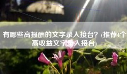 有哪些高报酬的文字录入接台？(推荐4个高收益文字录入接台)
