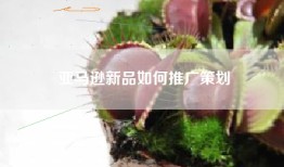 亚马逊新品如何推广策划