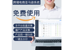 亚马逊店铺如何开店(亚马逊店铺被盗)