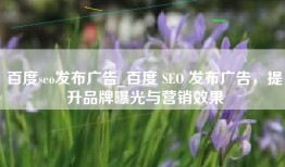 百度seo发布广告_百度 SEO 发布广告，提升品牌曝光与营销效果