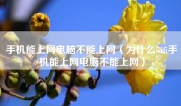 手机能上网电脑不能上网（为什么wifi手机能上网电脑不能上网）
