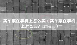 买车票在手机上怎么买（买车票在手机上怎么买？12306app）