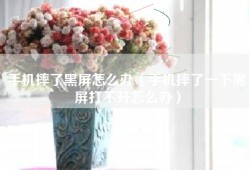 手机摔了黑屏怎么办（手机摔了一下黑屏打不开怎么办）