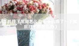手机摔了黑屏怎么办（手机摔了一下黑屏打不开怎么办）