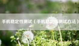 手机稳定性测试（手机稳定性测试方法）