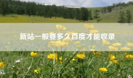 新站一般要多久百度才能收录