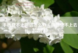 手机登不上微信怎么办（微信登不上去怎么办）