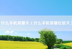 什么手机屏幕大（什么手机屏幕比较大）