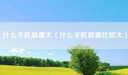 什么手机屏幕大（什么手机屏幕比较大）