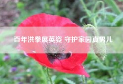 百年洪拳展英姿 守护家园真男儿