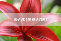 饺子的介绍 饺子的简介