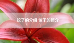饺子的介绍 饺子的简介
