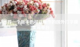 推荐一个新手也可以操作的国外打字赚美元平台