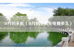 30万的手机（30万的手机充电要多久）