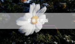 皇帝手机版