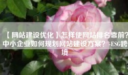 【网站建设优化】怎样使网站排名靠前？中小企业如何规划网站建设方案？-ESG跨境