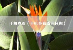 手机查看（手机查看激活日期）