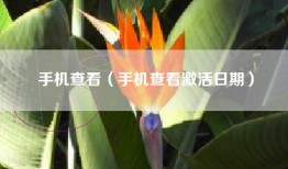 手机查看（手机查看激活日期）
