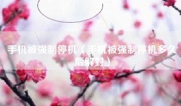 手机被强制停机（手机被强制停机多久后解封）