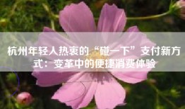 杭州年轻人热衷的“碰一下”支付新方式：变革中的便捷消费体验