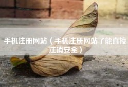 手机注册网站（手机注册网站了能直接注消安全）