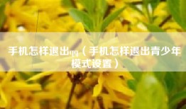 手机怎样退出qq(手机怎样退出青少年模式设置)