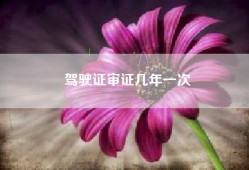 驾驶证审证几年一次