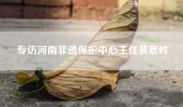 专访河南非遗保护中心主任裴景岭