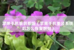 苹果手机重装系统（苹果手机重装系统后怎么恢复数据）