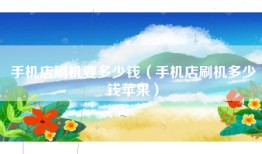 手机店刷机要多少钱（手机店刷机多少钱苹果）