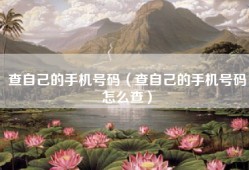 查自己的手机号码（查自己的手机号码怎么查）