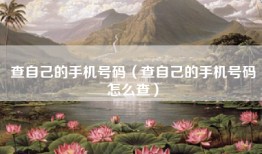 查自己的手机号码（查自己的手机号码怎么查）